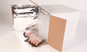 Packing frozen food, Sumber: ipcpack.com