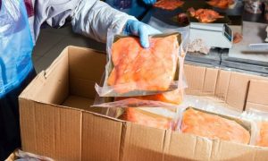 Kelemahan usaha frozen foods, Sumber: emeraldtransportationsolutions.com