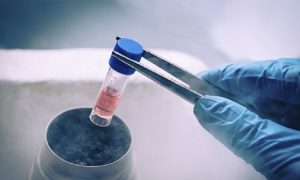 Metode penyimpanan kriopreservasi, Sumber: unair.ac.id