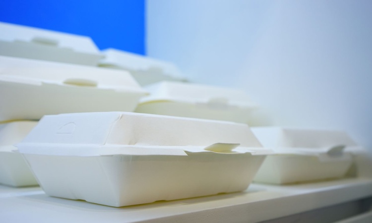 Box styrofoam, Sumber: allrecipes.com