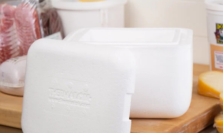 Menggunakan kotak styrofoam untuk frozen food, Sumber: webstaurantstore.com