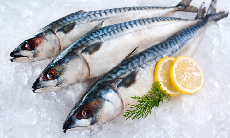 Kelebihan ikan segar, Sumber: shippingschool.com
