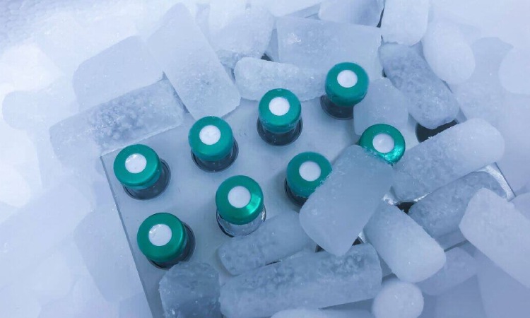 Dry ice untuk keperluan medis, Sumber: shipmercury.com
