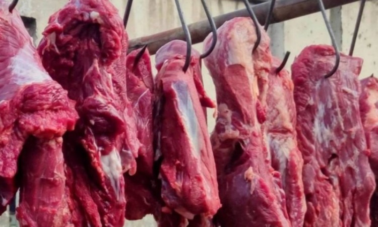 Daging segar, Sumber: tokopedia.net