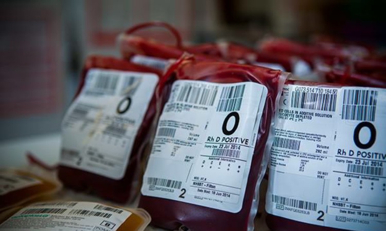 Darah donor, Sumber: askhematologist.com