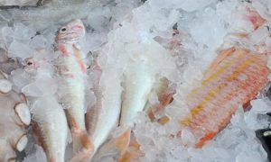 Pengawetan ikan, Sumber: dryicesupplyuk.com