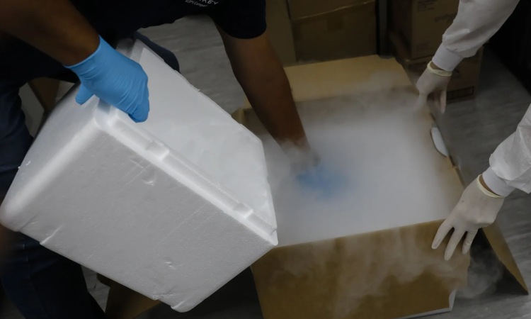 Fungsi dan kegunaan dry ice, Sumber: bwbx.io