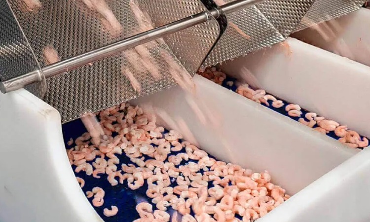 Metode Individual Quick Freezing, Sumber: martak.com
