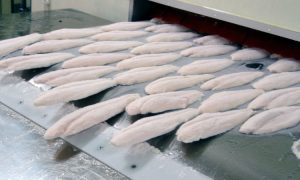 Quickfreezing, Sumber: eurofish.dk