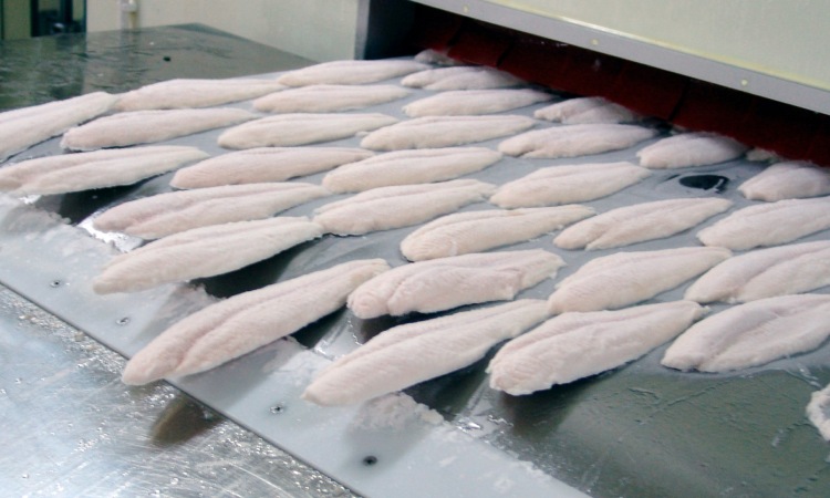 Quickfreezing, Sumber: eurofish.dk