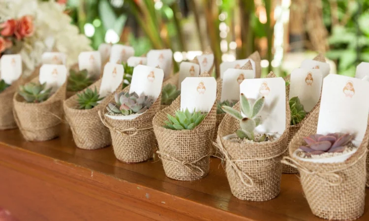 Souvenir yang eco friendly, Sumber: preownedweddingdresses.com