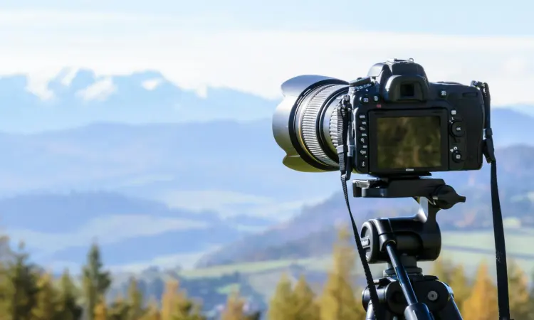 Teknik framing fotografi, Sumber: pexels.com