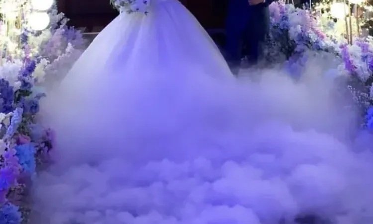 Grand entrance pengantin, Sumber: bridestory.com