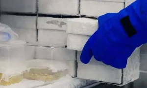 Penyimpanan lab, Sumber: nitrocdn.com
