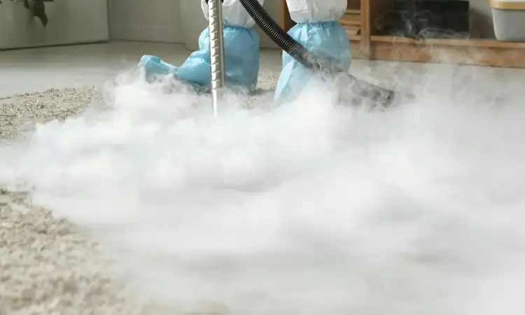 Dry ice untuk membasmi rayap, Sumber: unsplash.com
