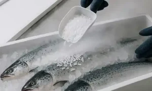 Frozen food dry ice, Sumber: coldjet.com