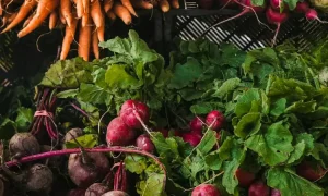 Panen sayur, Sumber: pexels.com