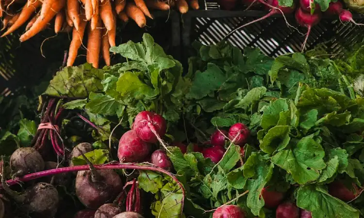 Panen sayur, Sumber: pexels.com