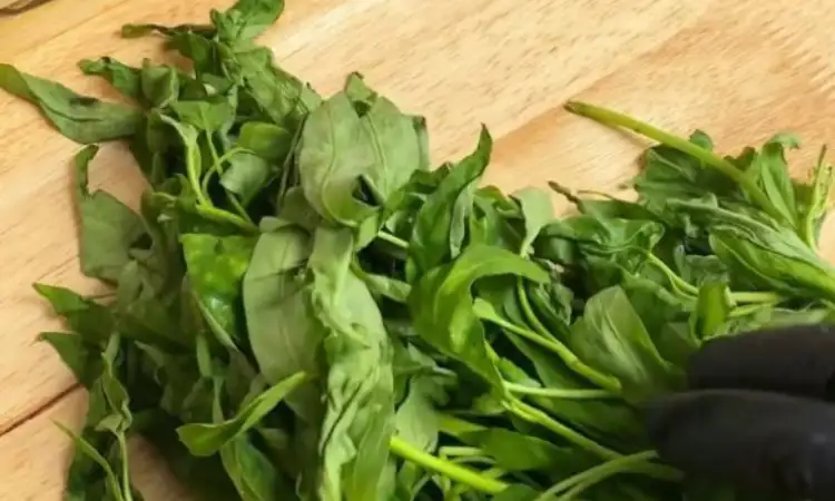 Sayur cepat layu, Sumber: siraplimau.com