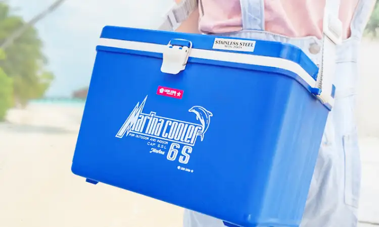 Memilh cooler box, Sumber: lionstar.id