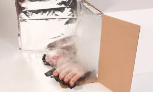 Daging beku, Sumber: ipcpack.com