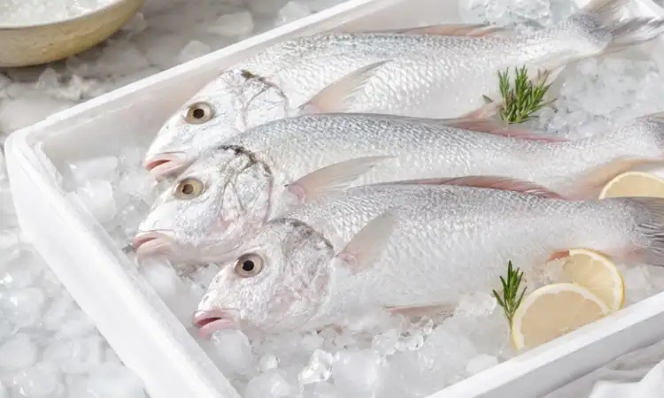 Ikan beku, Sumber: frostyfins.co