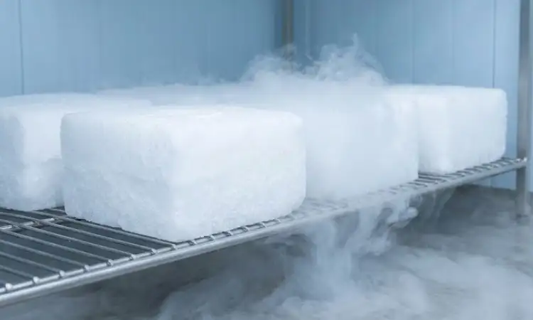 Produk dry ice higienis, Sumber: AI